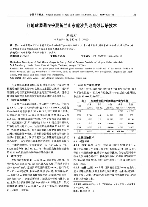 红地球葡萄在宁夏贺兰山东麓沙荒地高效栽培技术