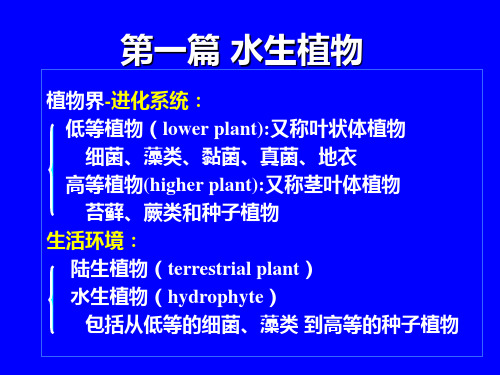 水生生物学课件 第一篇 水生植物