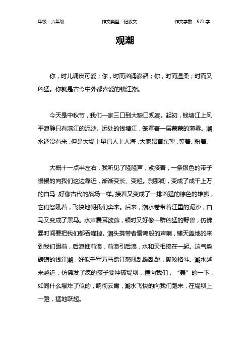 观潮作文【小学六年级600字】