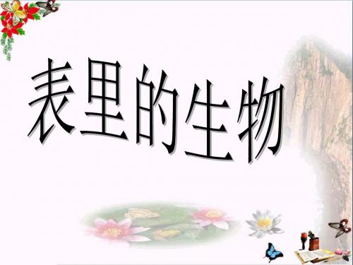 六年级语文上册第22课表里的生物ppt课件语文S版