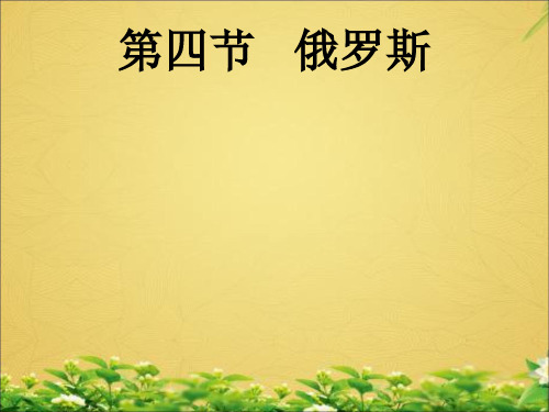 《俄罗斯》PPT优秀课件2