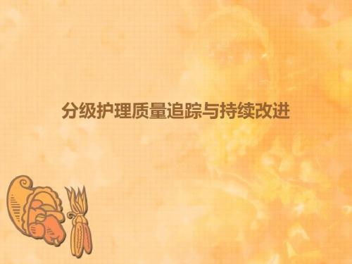 分级护理_质量追踪与持续改进