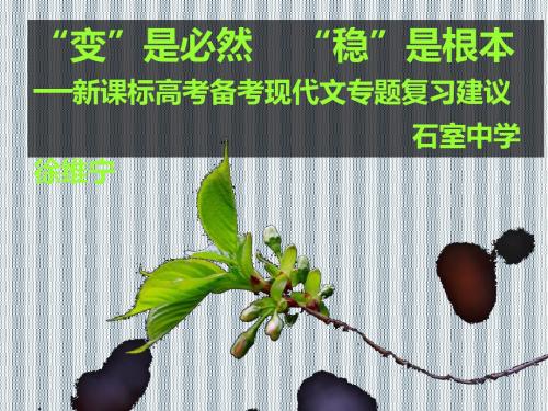 2013年高考语文专题复习课件现代文专题