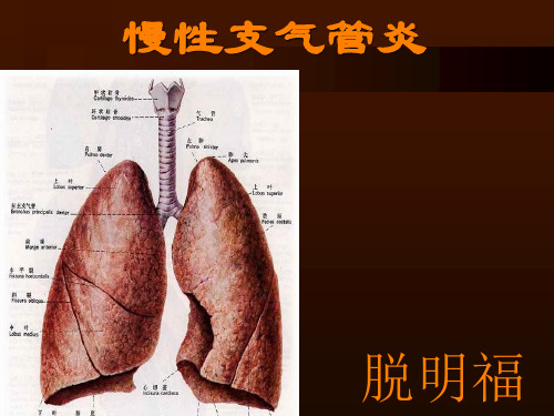 慢性支气管炎【课件幻灯】ppt课件