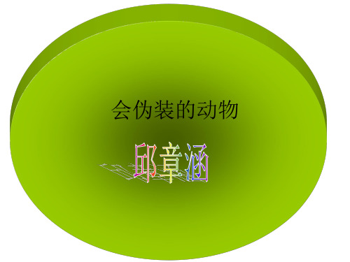 会伪装的动物