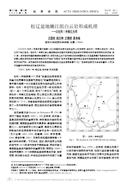 松辽盆地嫩江组白云岩形成机理_以松科1井南孔为例_王国栋