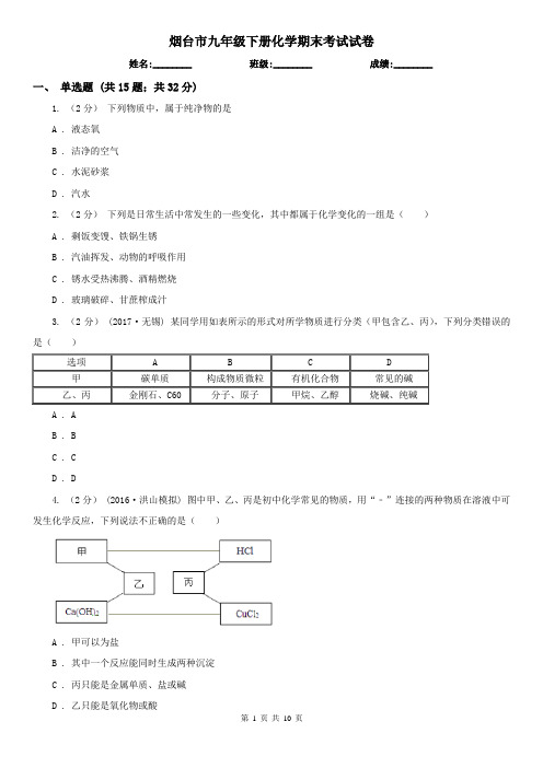 烟台市九年级下册化学期末考试试卷