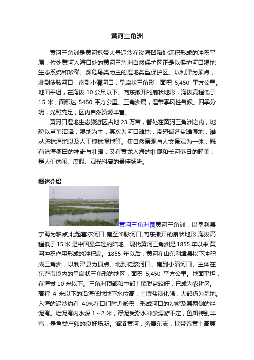 黄河三角洲