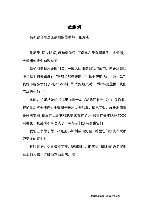 放蝌蚪_优秀作文