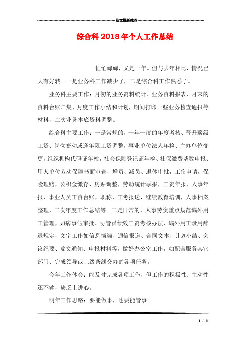综合科个人工作总结.doc