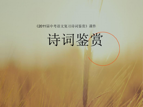 最新-2018届中考语文专题复习 诗词鉴赏课件 人教新课标版 精品 