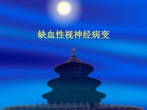 缺血性视神经病变