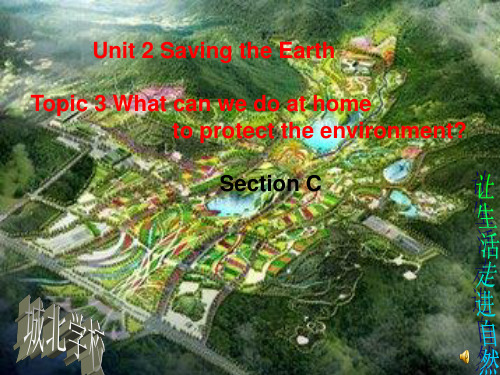 仁爱英语九年级上册Unit 2 Topic 3 Section C