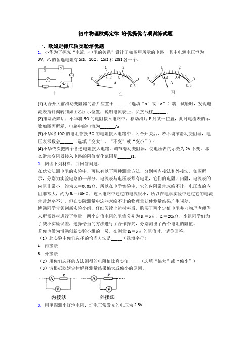 初中物理欧姆定律 培优提优专项训练试题