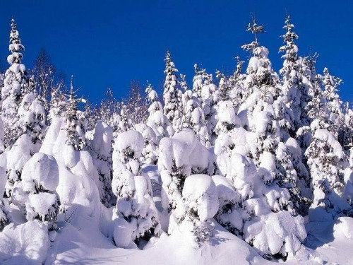 二年级语文上册 冬天到,雪花飘 1课件 北京版