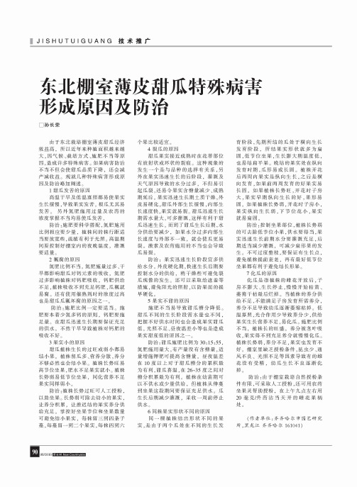 东北棚室薄皮甜瓜特殊病害形成原因及防治