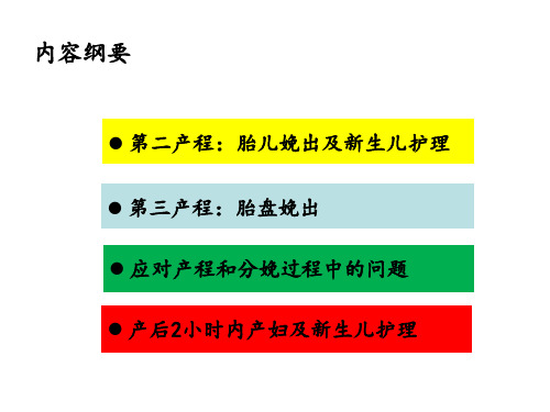 第二三产程的观察与处理 ppt课件42页PPT