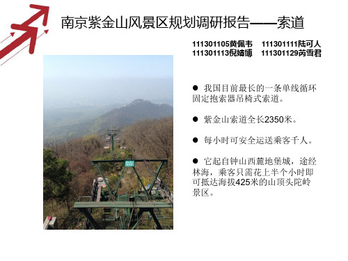 紫金山调研报告