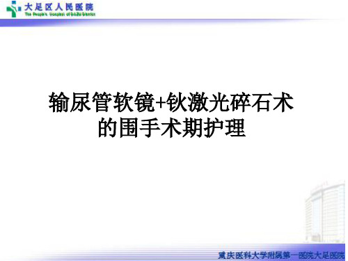 输尿管软镜教学讲课