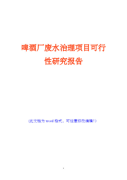 啤酒厂废水治理项目可行性研究报告(完美版)