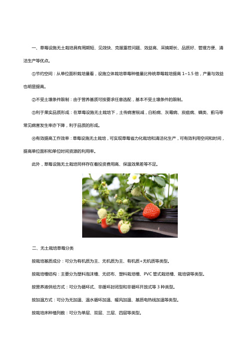 无土栽培草莓技术要点