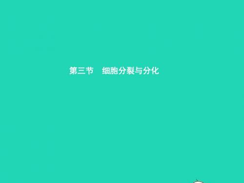 七年级生物上册2.3.3细胞的分裂与分化习题课件(新版)苏教版