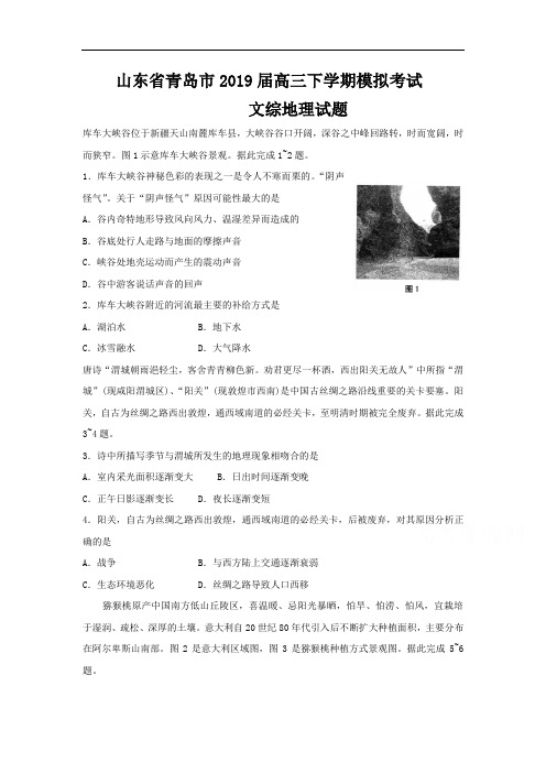 【精品试题】山东省青岛市2019届高三下学期第二次模拟考试文科综合地理试题 Word版含答案