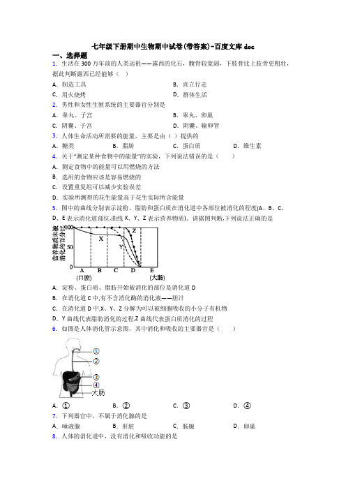 七年级下册期中生物期中试卷(带答案)-百度文库doc