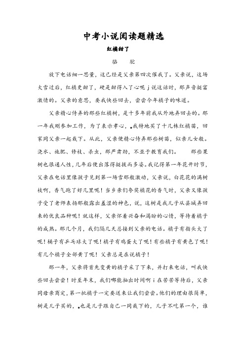 中考小说阅读题