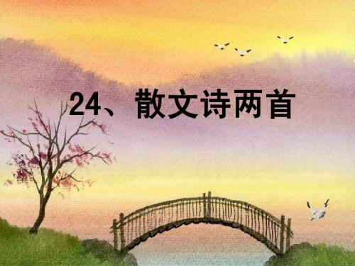 24《金色花》《荷叶母亲》