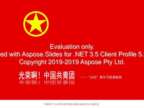 2019年-光荣啊中国共青团-PPT精选文档
