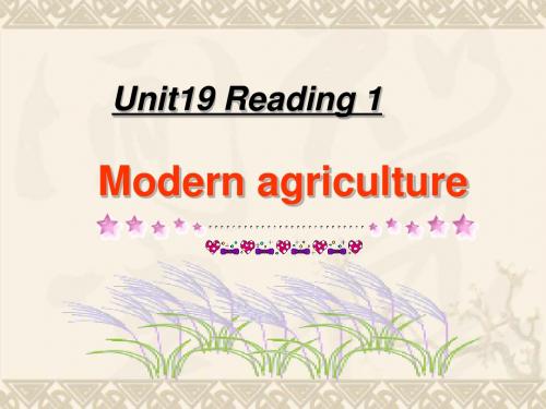 高一英语Unit19 Reading 人教版