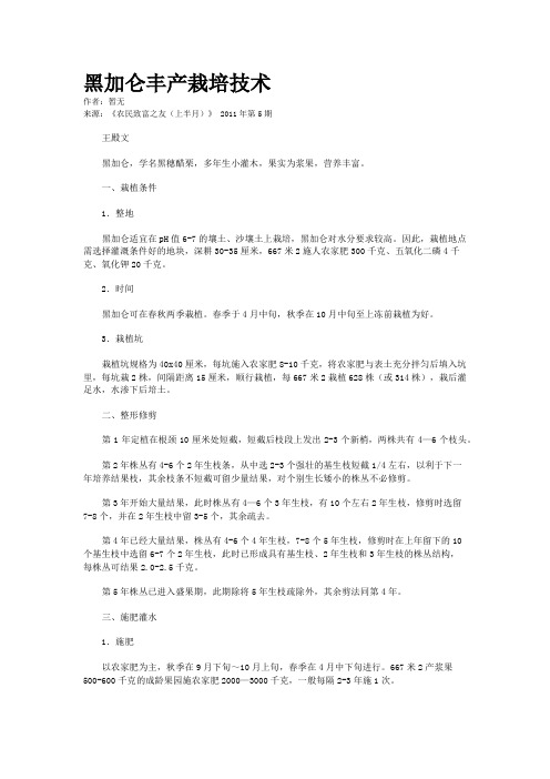 黑加仑丰产栽培技术