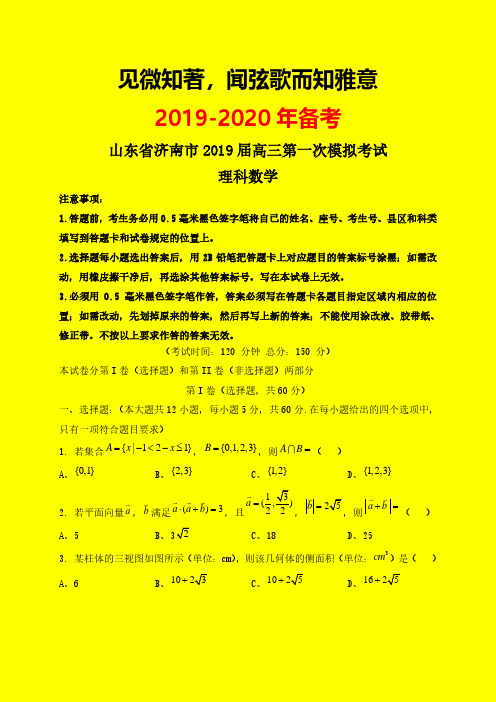2019-2020年济南一模：山东省济南市2019届高三第一次模拟考试数学(理)试题-附答案精品