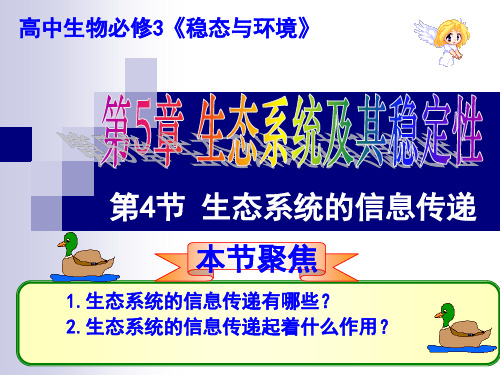 生态系统的信息传递总结