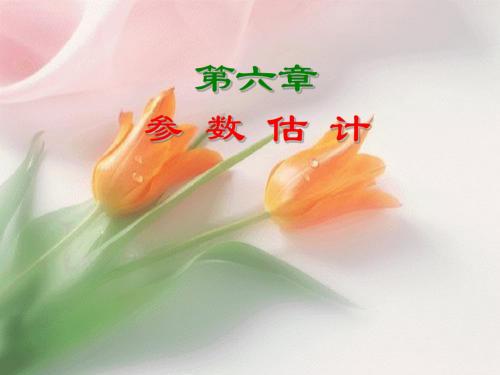 统计学第六章参数估计