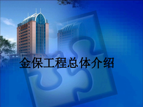 金保工程总体介绍