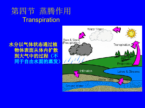 植物生理学：第四节  蒸腾作用