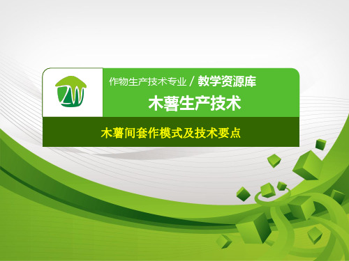 木薯间套作模式及技术要点.pptx