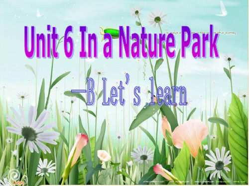 英语人教PEP版五年级上册 Unit 6 In a Nature Park  B PPT课件