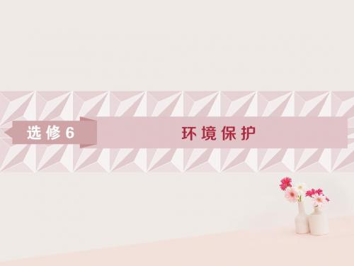 2019高考地理一轮复习环境保护第44讲环境保护课件湘教版选修6