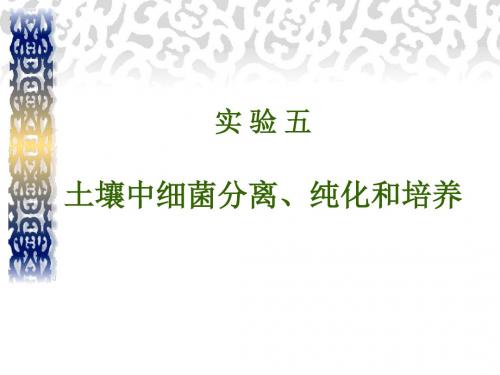实验五土壤中细菌纯种分离和培养