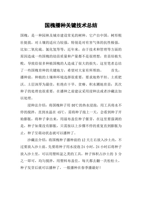国槐播种关键技术总结