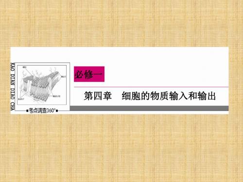 【状元之路】高考生物一轮复习 4.1 物质跨膜运输的实例名师优质课件 新人教版必修1
