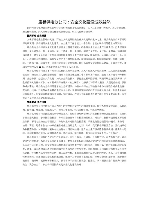 唐县供电分公司安全文化建设成效斐然