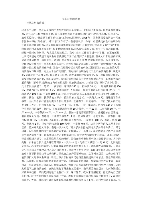 挂职驻村的感想