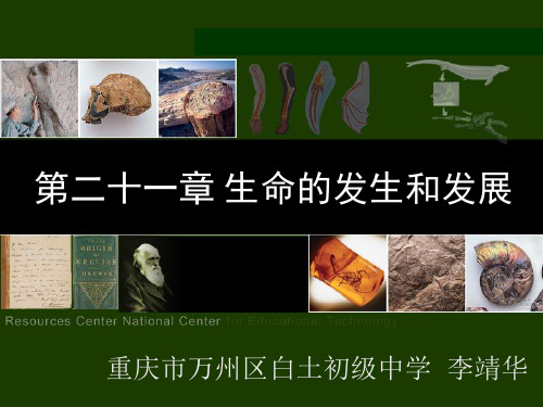 02.第二十一章 生命的发生和发展第1节生命的起源课件
