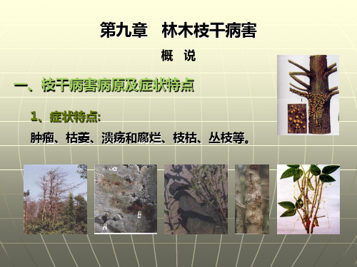 第九章 林木枝干病害