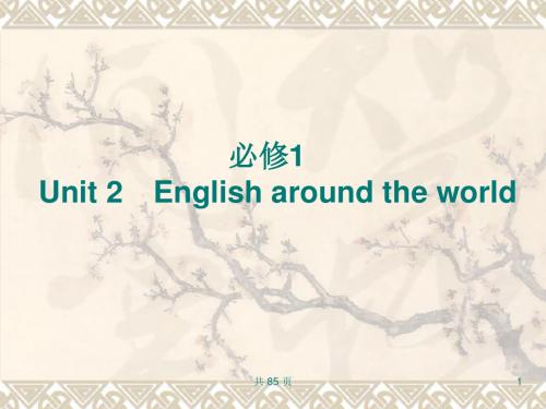 人教版高中 英语必修一Unit 2 English around the world知识点复习课件