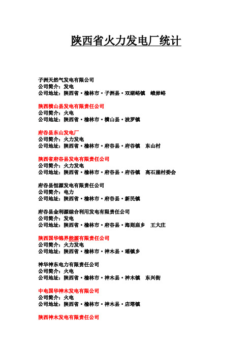 陕西火力发电厂统计